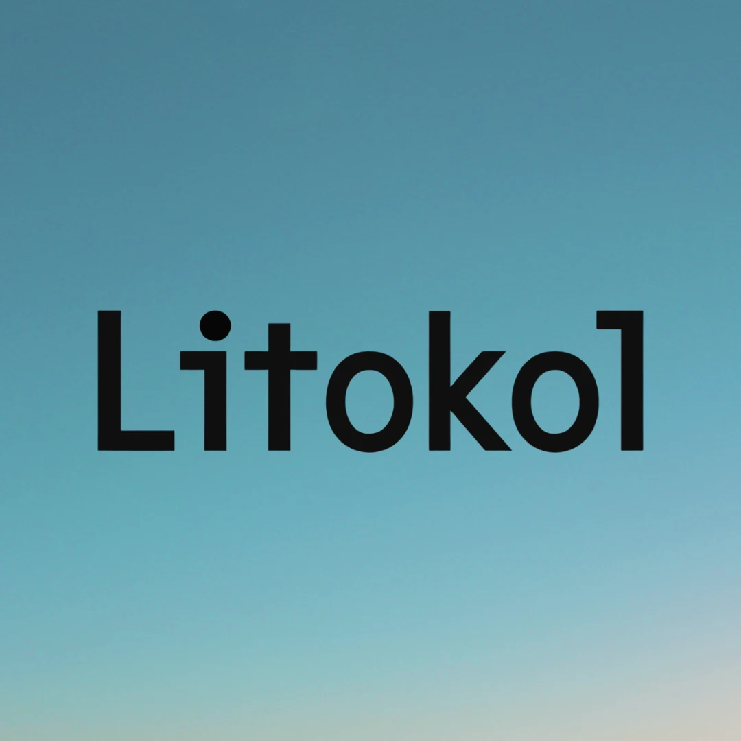 Fichas técnicas litokol
