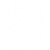 Icons8 premium 100 1